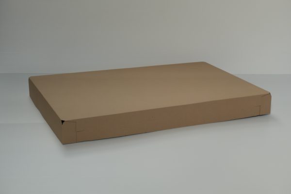 coiffe palette carton1